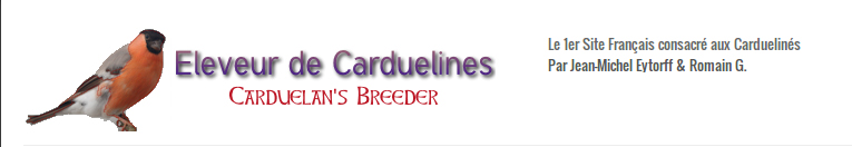 Eleveur de Carduélinés
